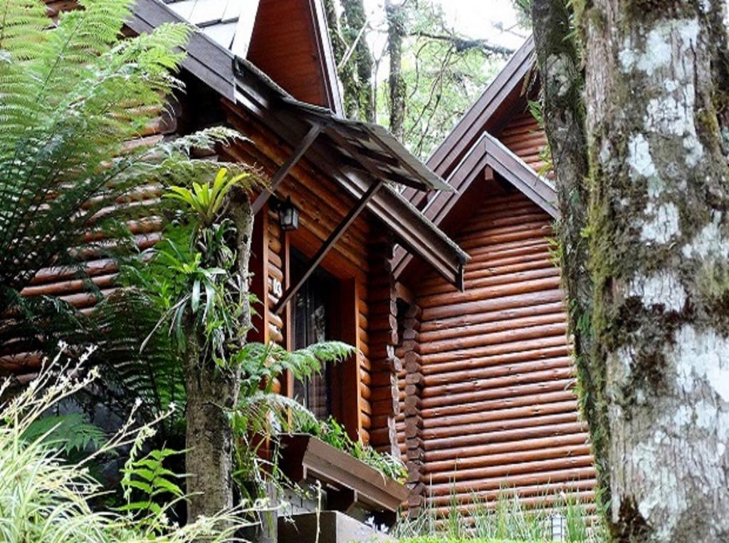 Chales Da Montanha 賓館 Gramado