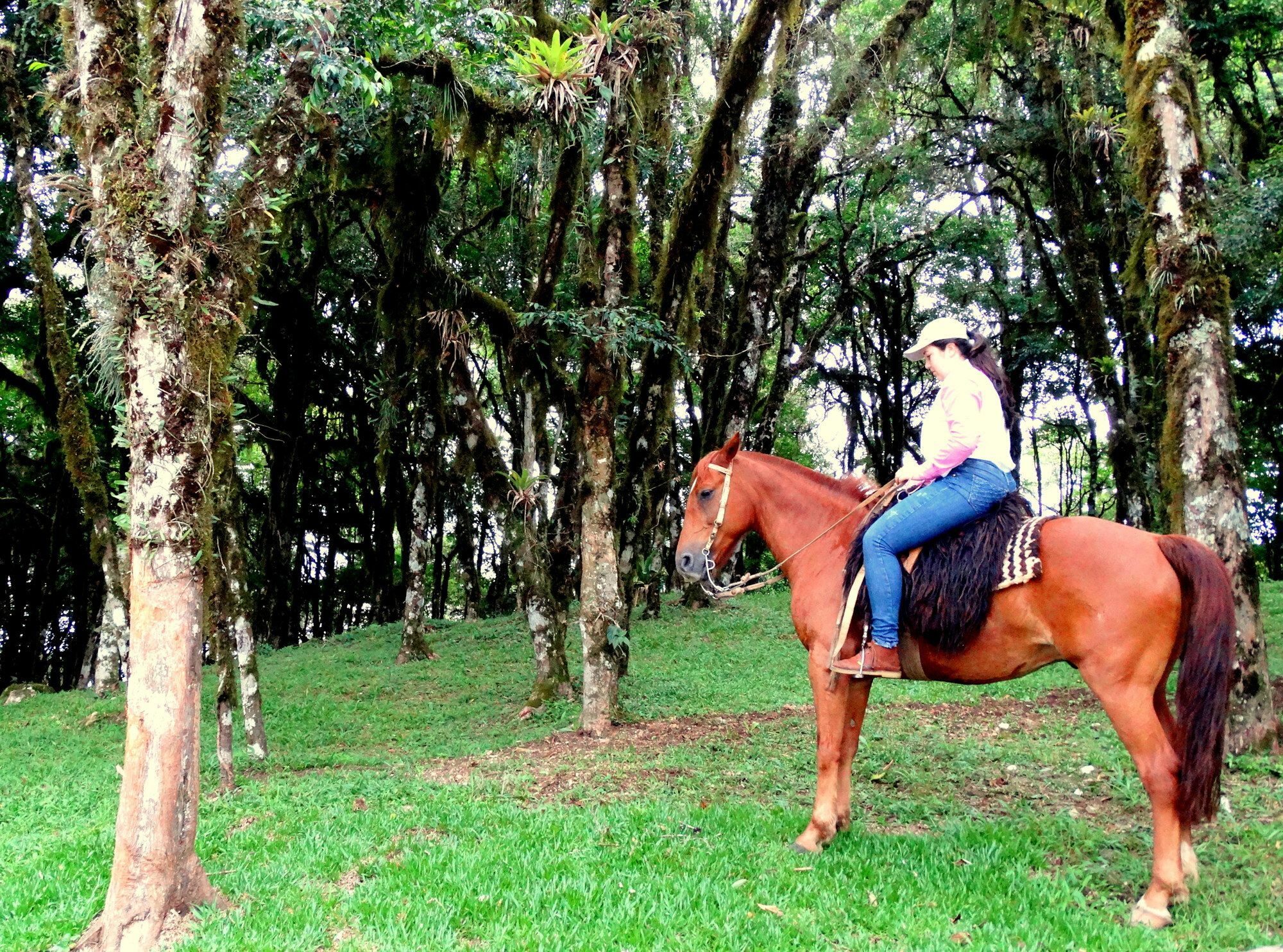 Chales Da Montanha 賓館